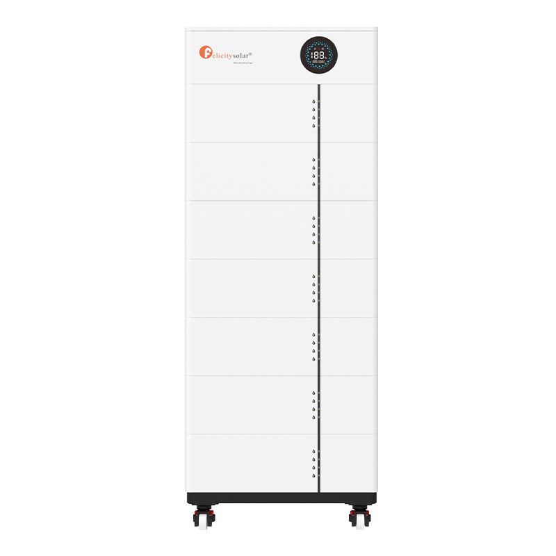 FLS48100SG2-4